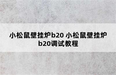 小松鼠壁挂炉b20 小松鼠壁挂炉b20调试教程